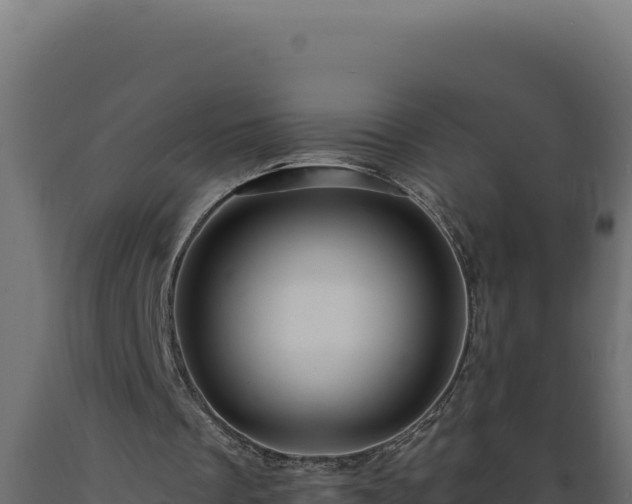 X0000089950289200707061126