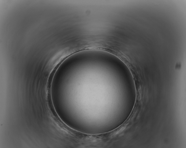 X0000089950290200707061126