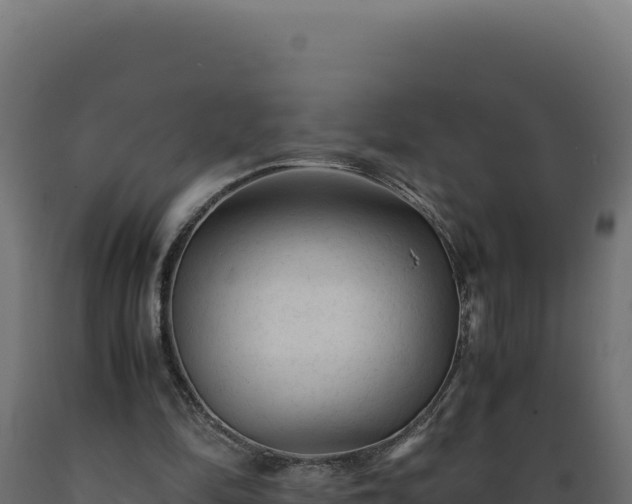 X0000089950294200707061126