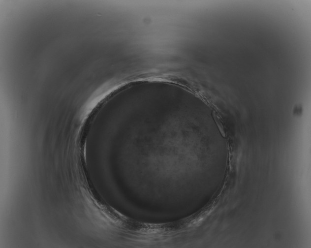 X0000089950295200707061126
