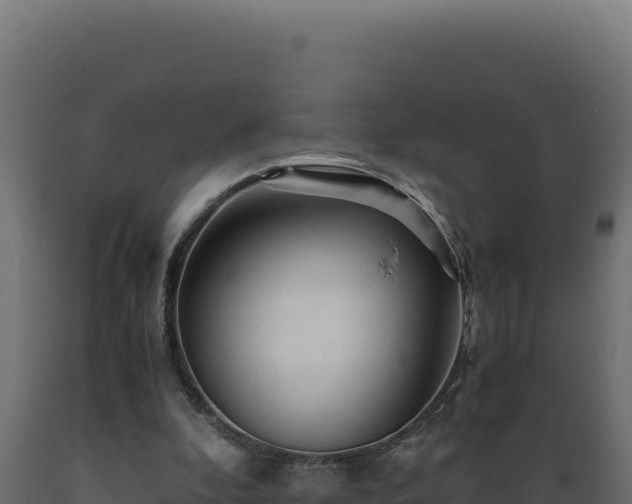X0000089950296200707061126