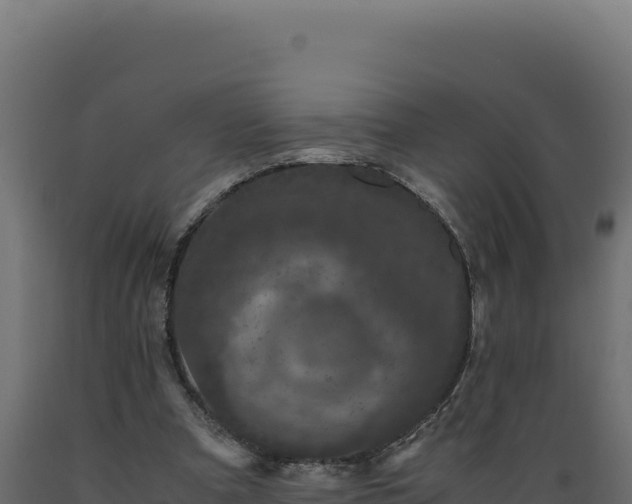 X0000089950297200707061126