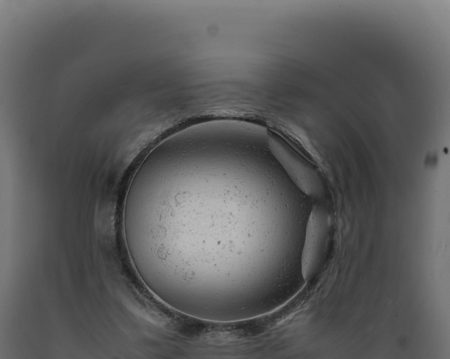 X0000089950299200707061126