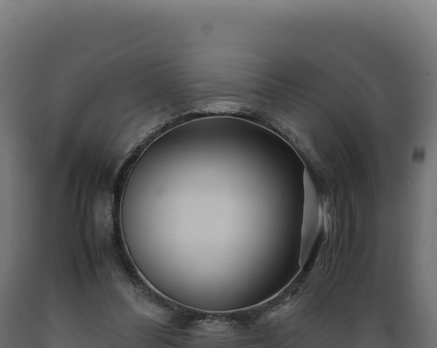 X0000089950300200707061126