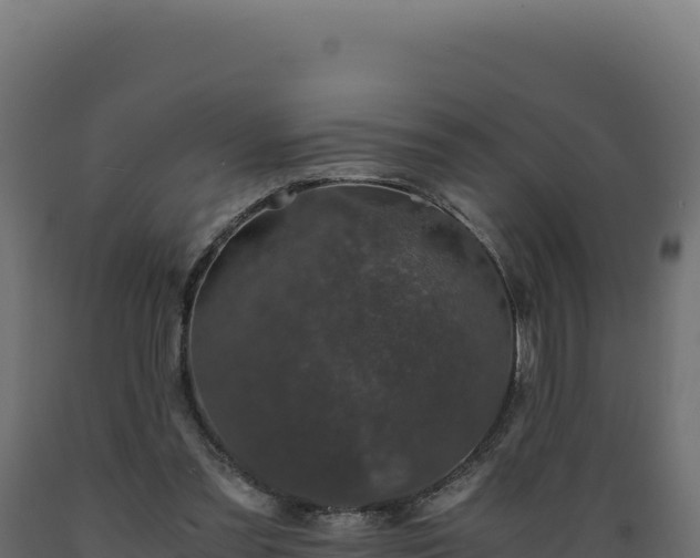 X0000089950301200707061126