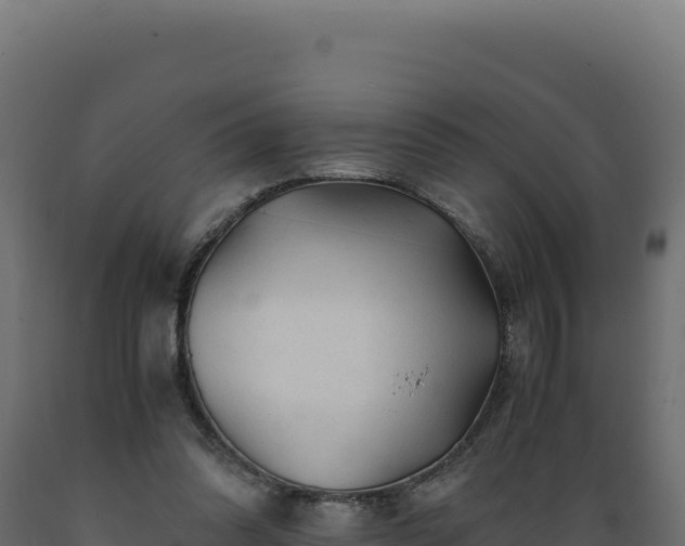 X0000089950302200707061126