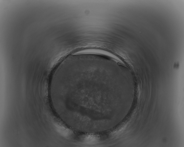 X0000089950303200707061126
