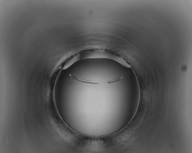 X0000089950304200707061126
