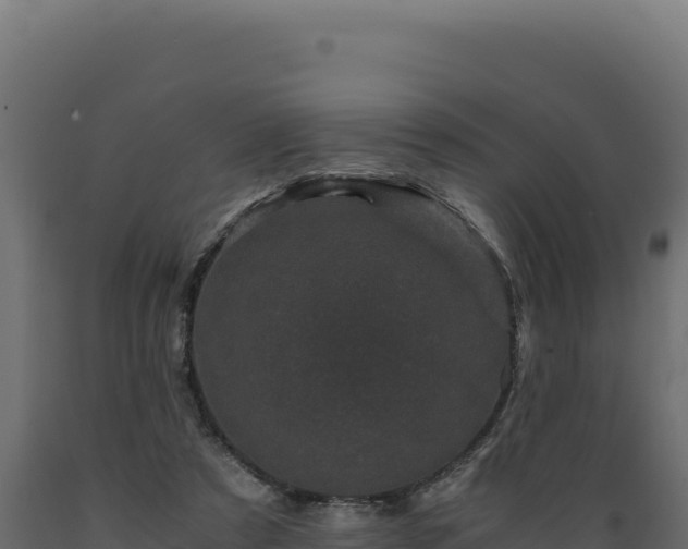 X0000089950305200707061126