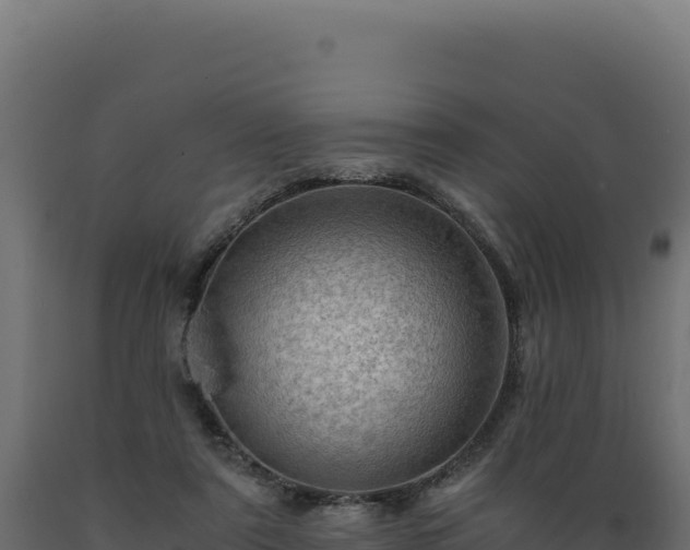 X0000089950307200707061126