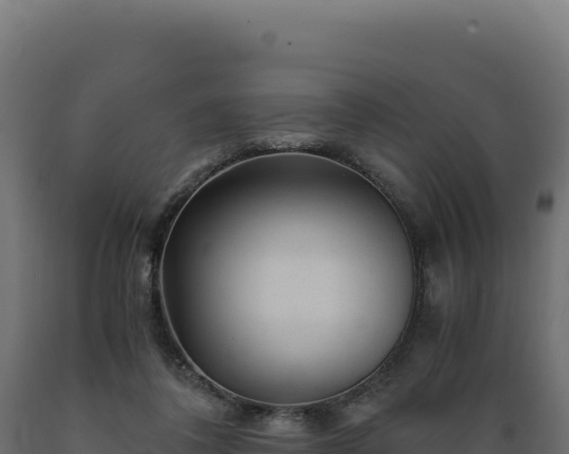 X0000089950308200707061126