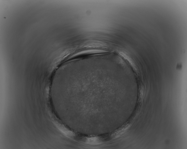 X0000089950309200707061126