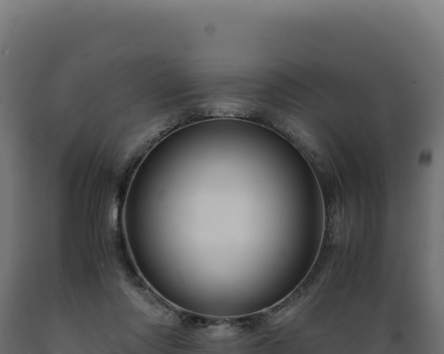 X0000089950310200707061125
