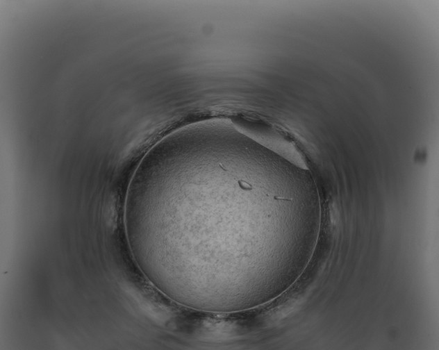 X0000089950311200707061125