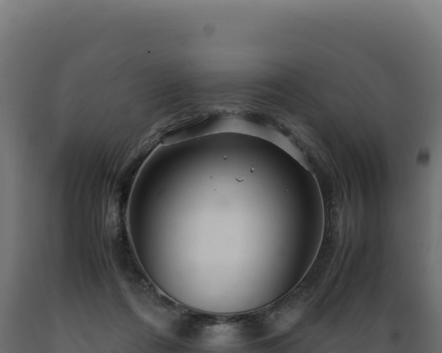 X0000089950312200707061125
