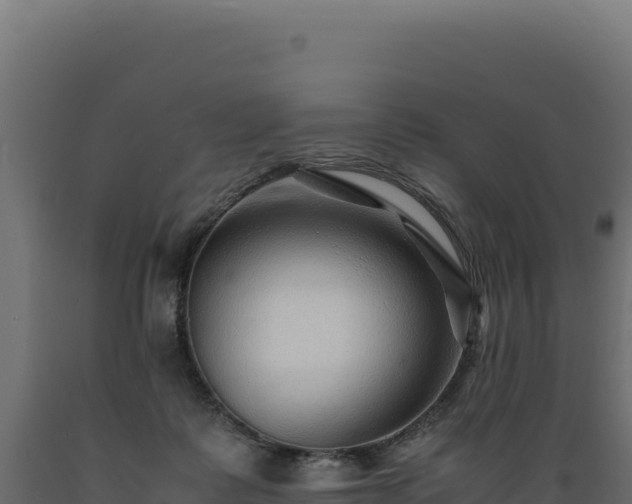 X0000089950315200707061125