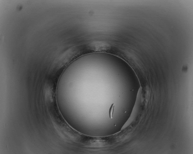 X0000089950316200707061125