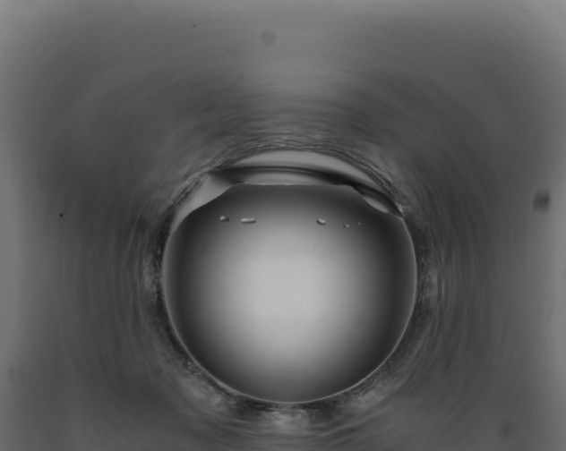 X0000089950317200707061125