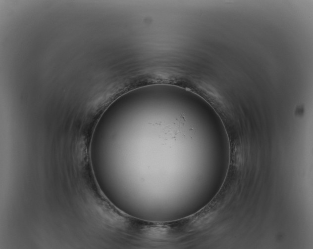 X0000089950318200707061125