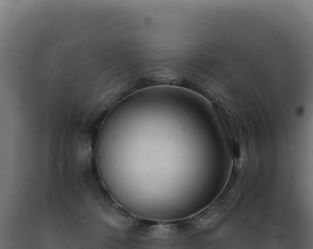 X0000089950320200707061125