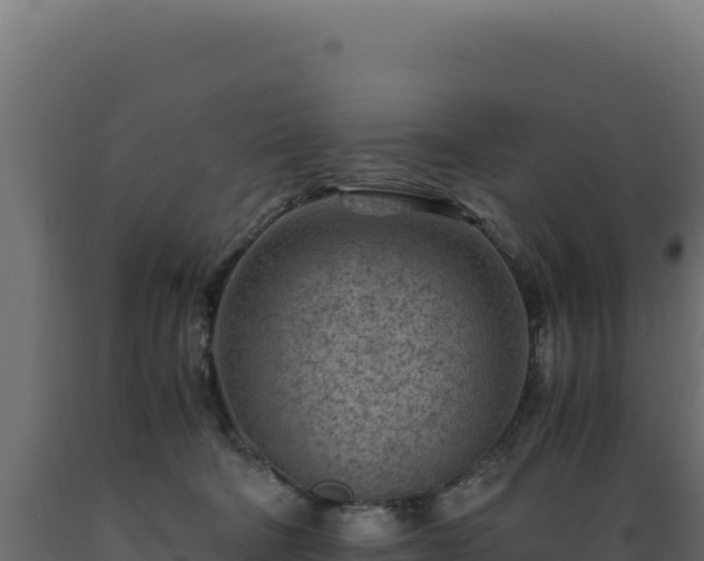 X0000089950322200707061125