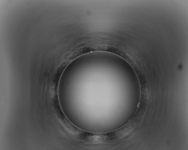X0000089950323200707061125