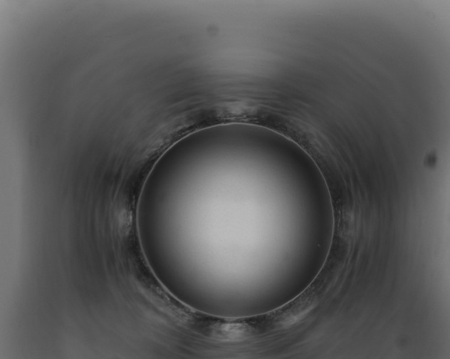 X0000089950324200707061125