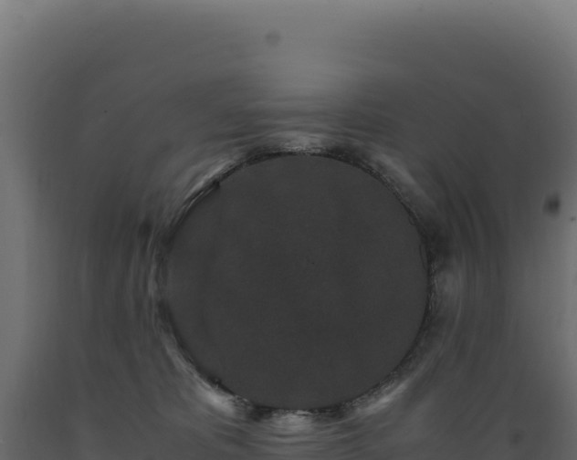 X0000089950325200707061125