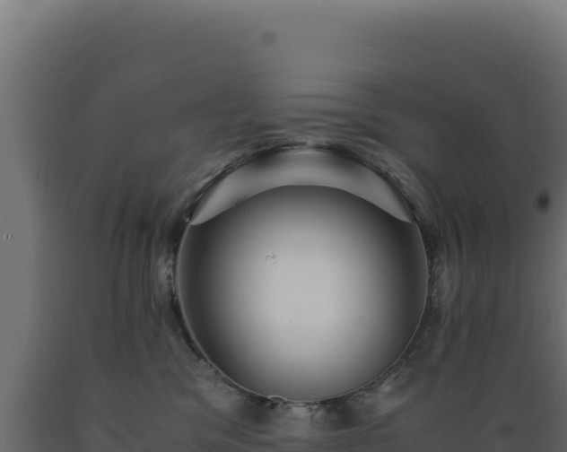 X0000089950329200707061125