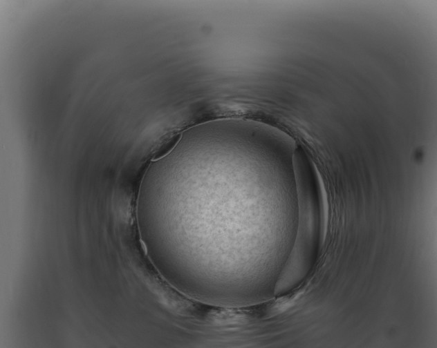 X0000089950331200707061125
