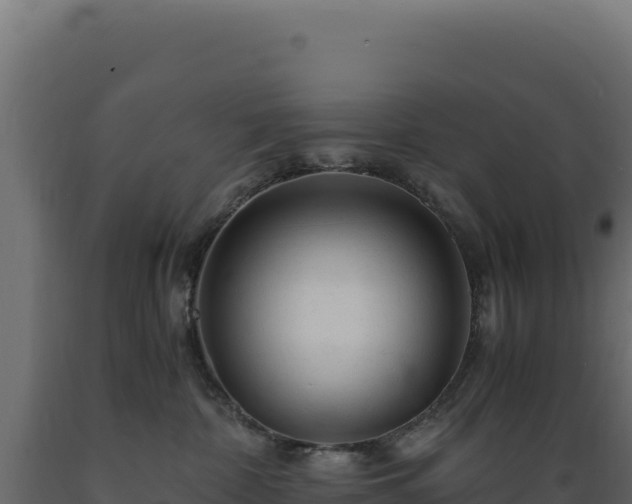 X0000089950332200707061125