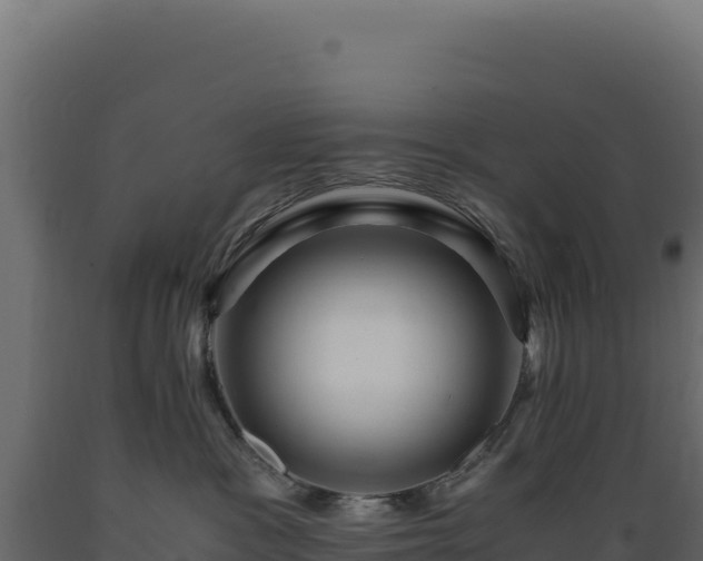 X0000089950333200707061125