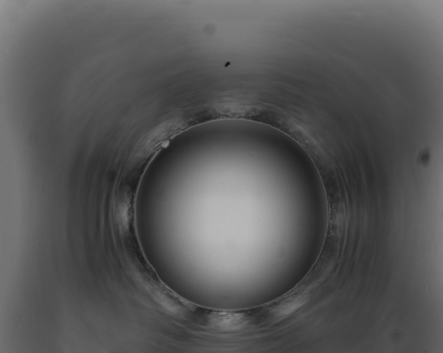X0000089950334200707061125