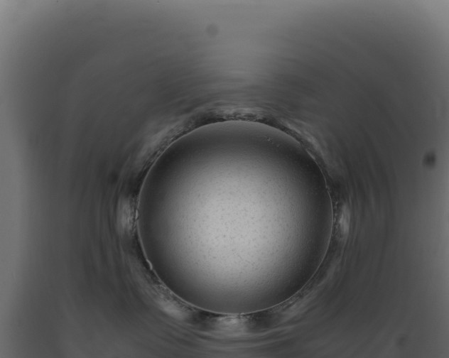 X0000089950335200707061125