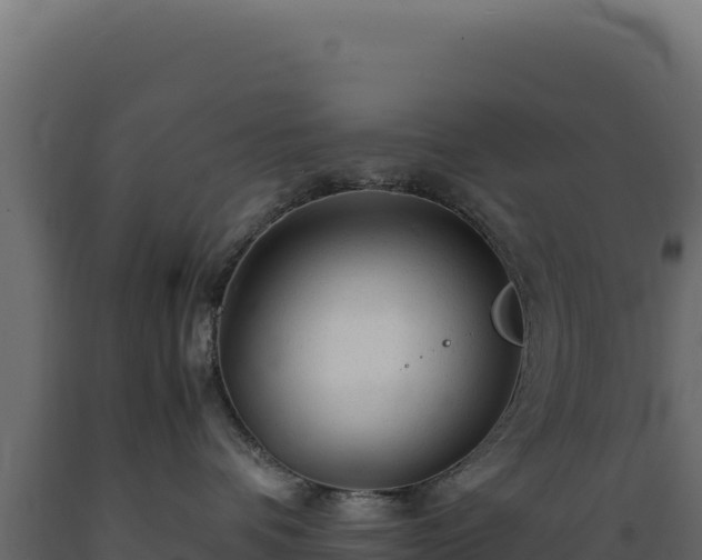 X0000089950336200707061125