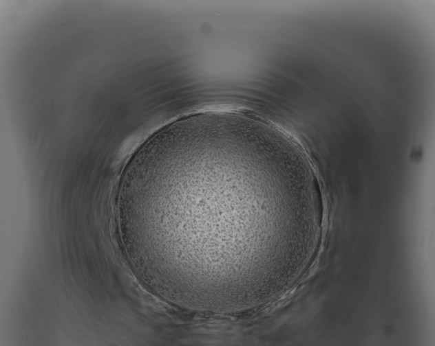 X0000089950337200707061125