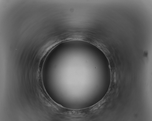 X0000089950338200707061125