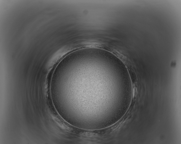 X0000089950339200707061125