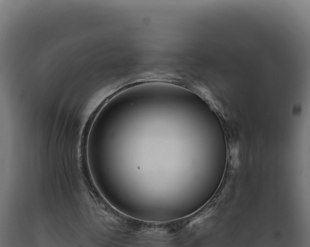 X0000089950340200707061125