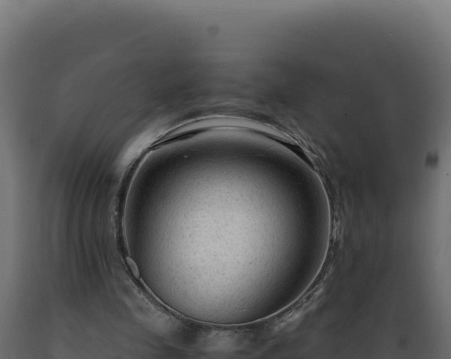 X0000089950341200707061125