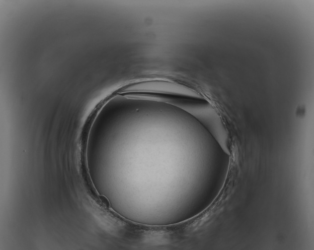 X0000089950342200707061125