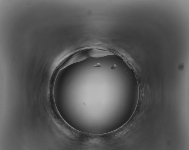 X0000089950344200707061125
