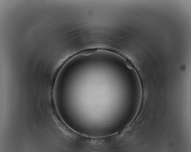 X0000089950345200707061125