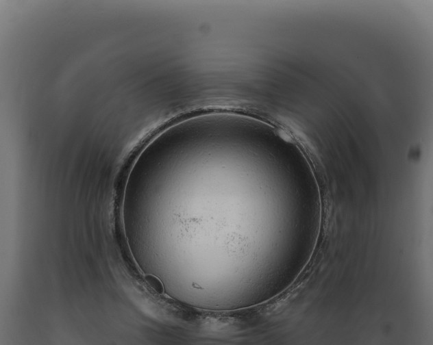 X0000089950346200707061125