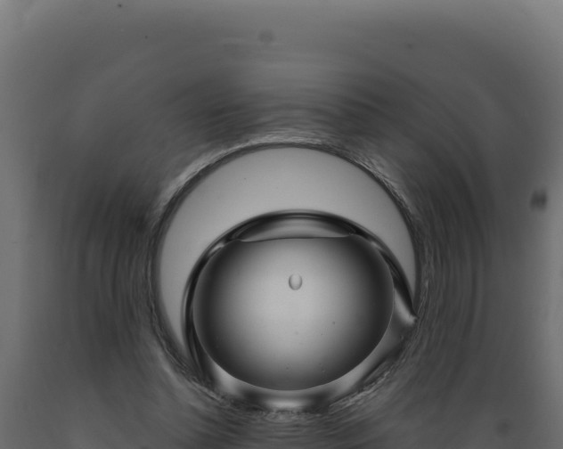 X0000089950348200707061125