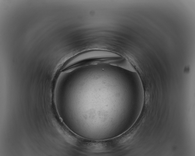 X0000089950349200707061125
