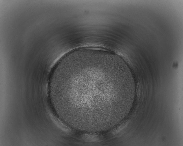 X0000089950351200707061125