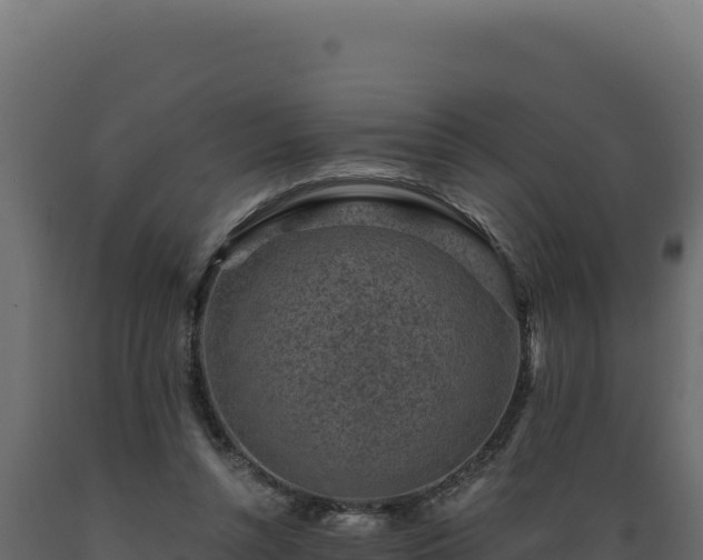 X0000089950352200707061125