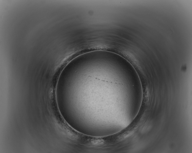 X0000089950355200707061125