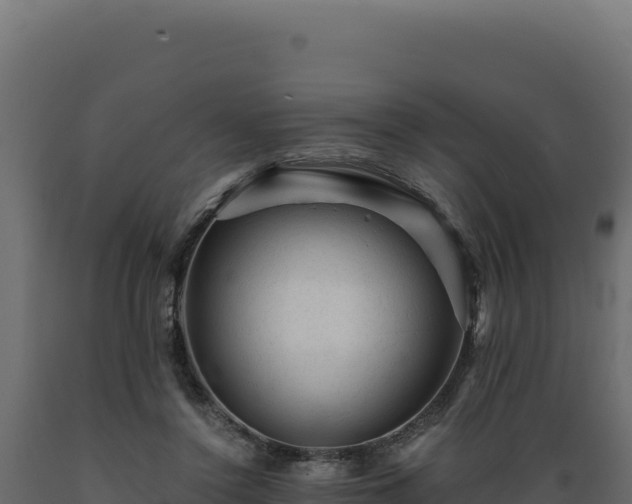 X0000089950356200707061125